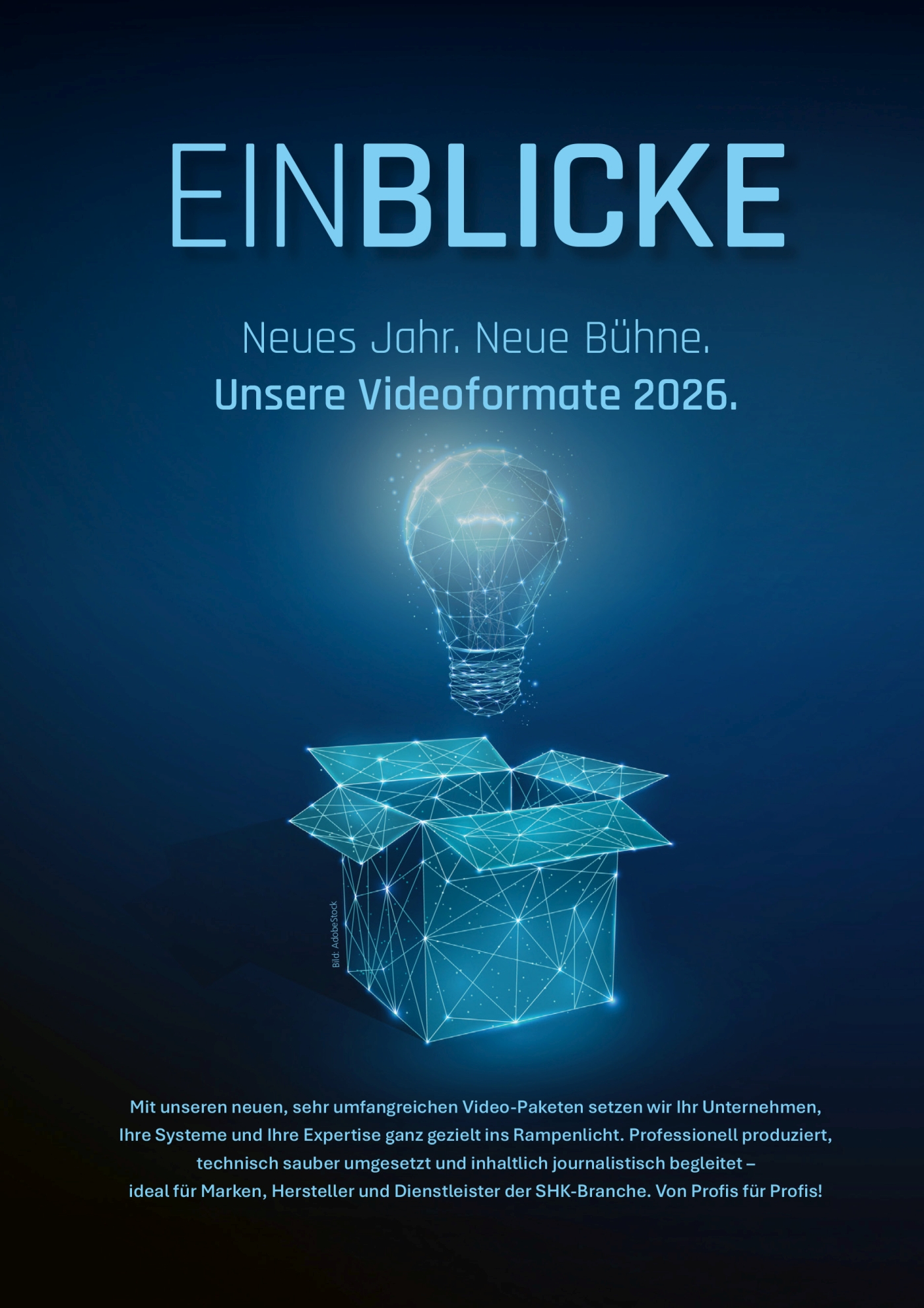 Cover Flyer "Einblicke"